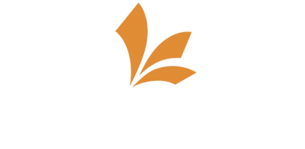 Lesli logo
